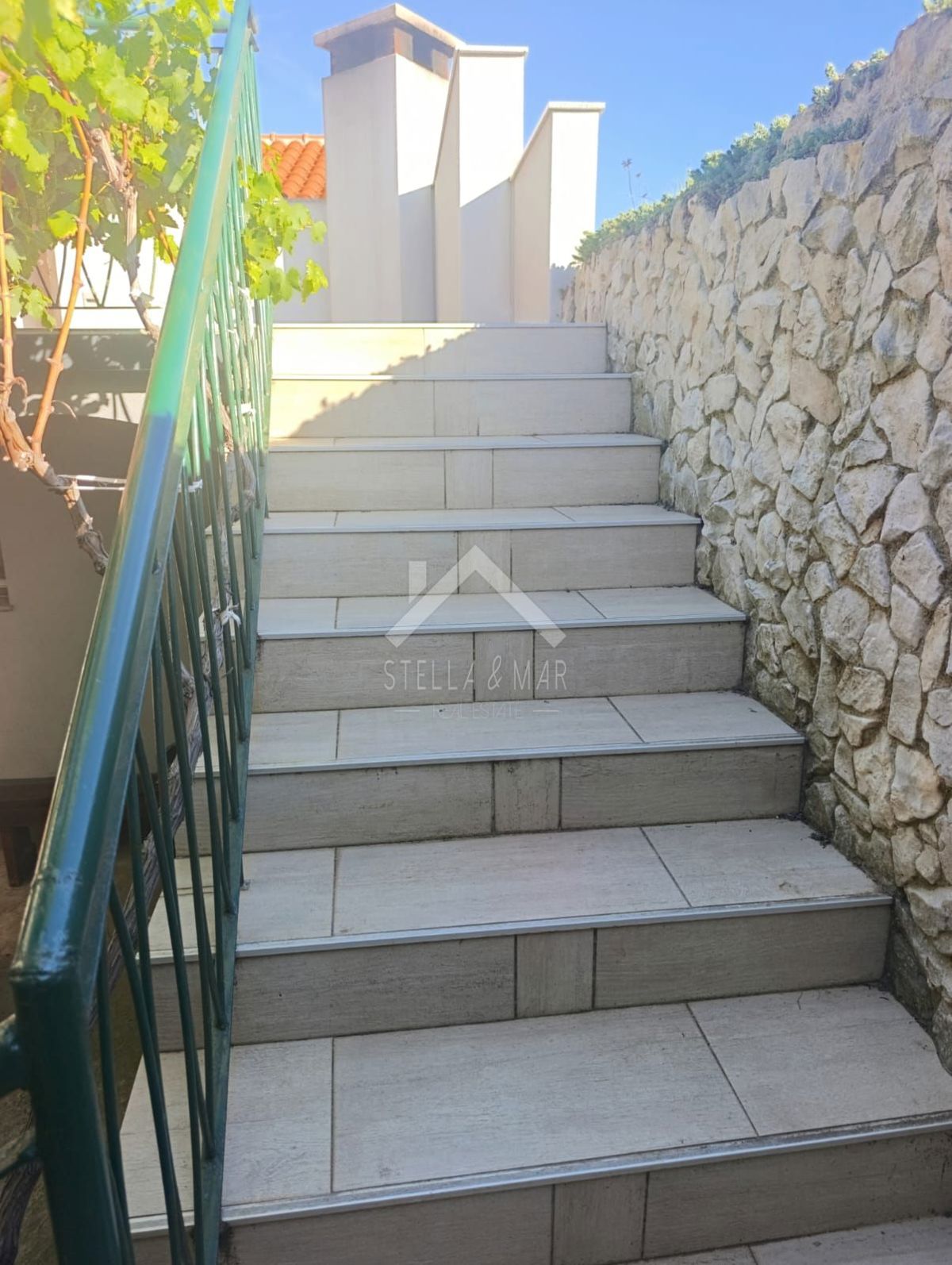 image 23