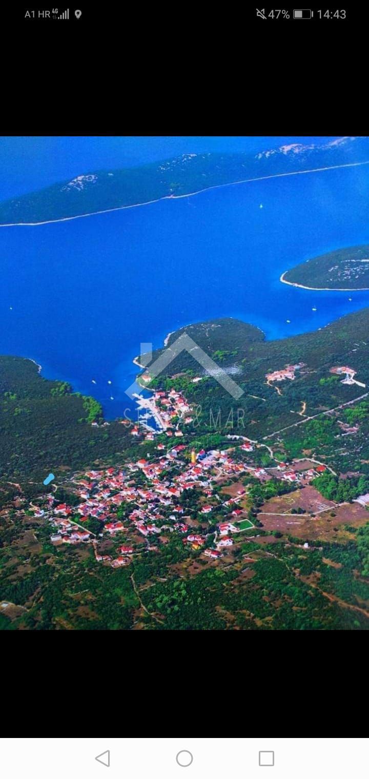 MOLAT