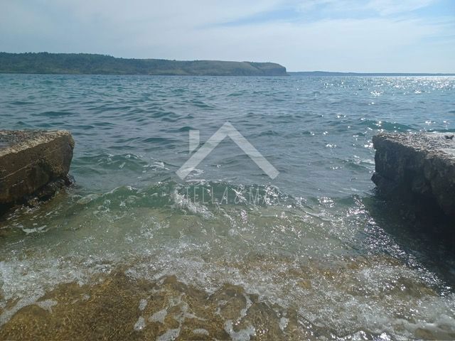 RTINA
