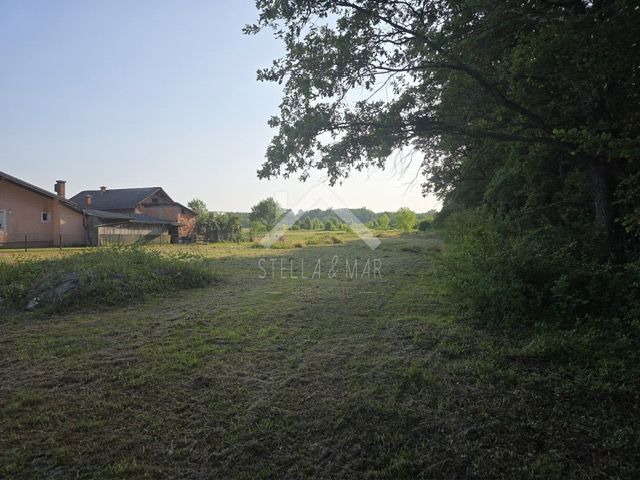 DONJE MEKUŠJE
