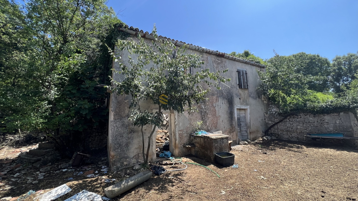 PINEZIĆI