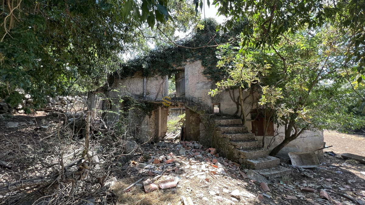 PINEZIĆI