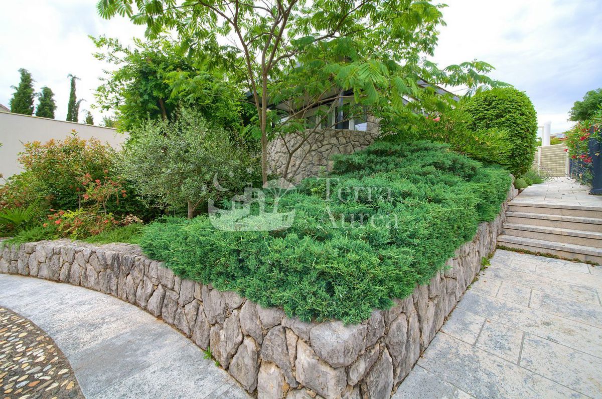 image 30