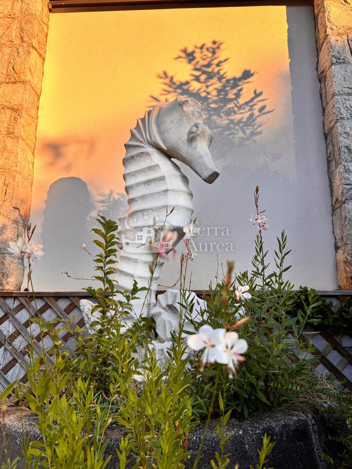 image 38