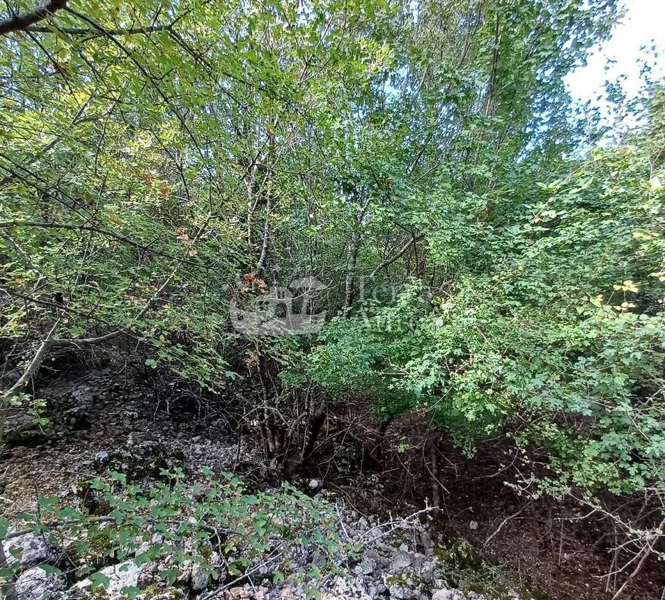 DOBRINJ