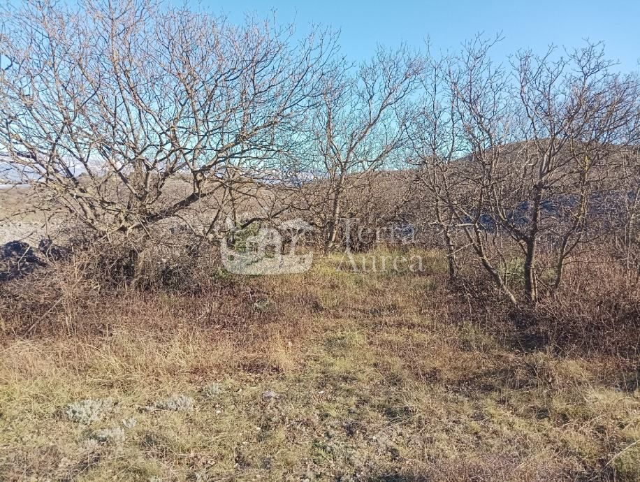 VRBNIK