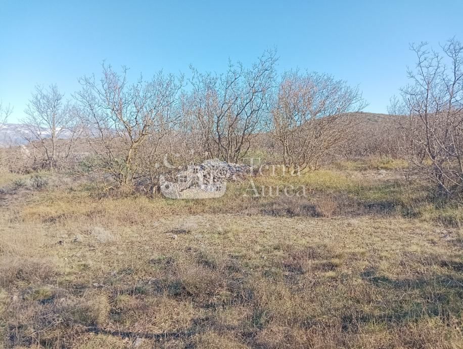 VRBNIK