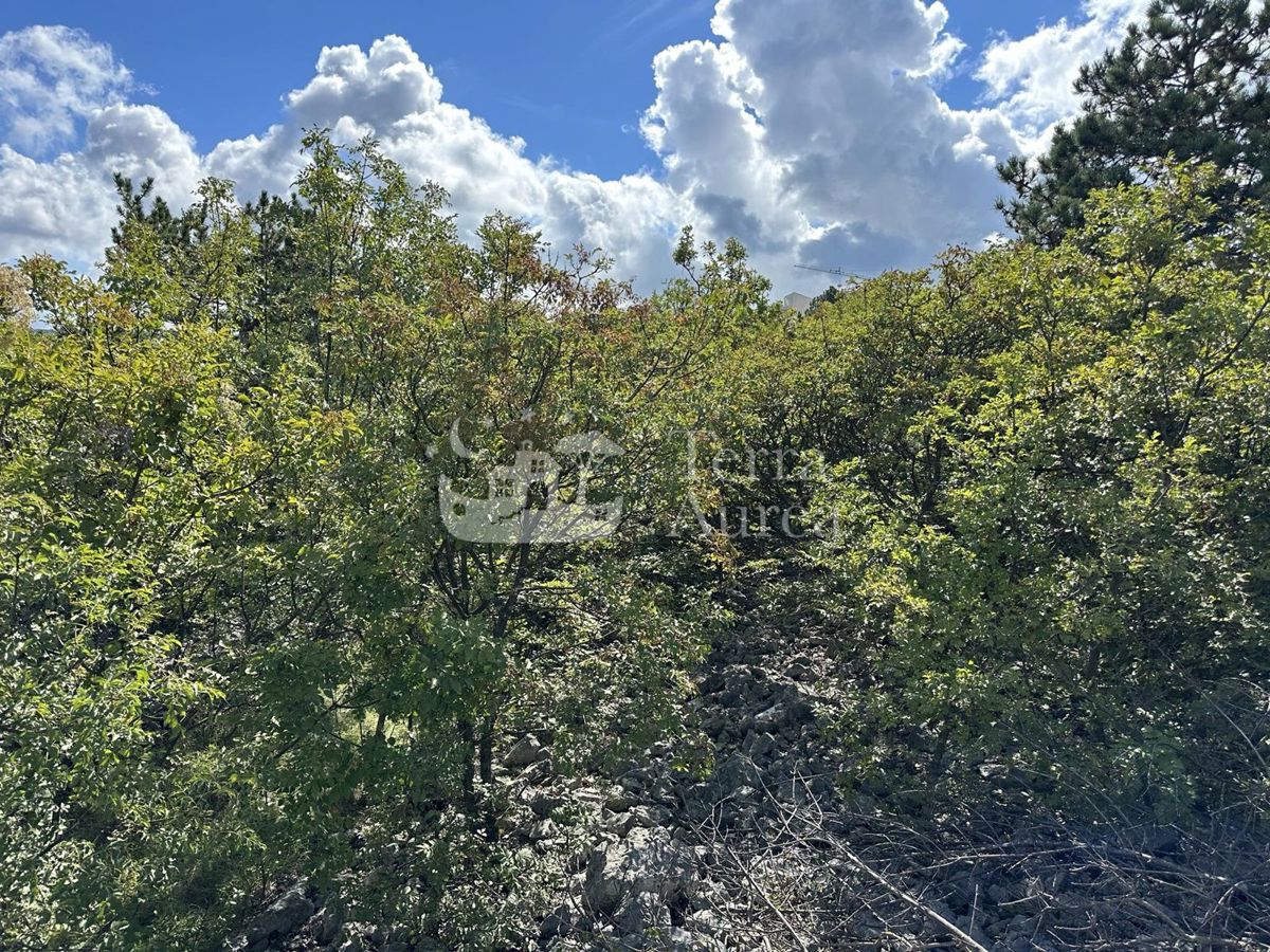 VRBNIK