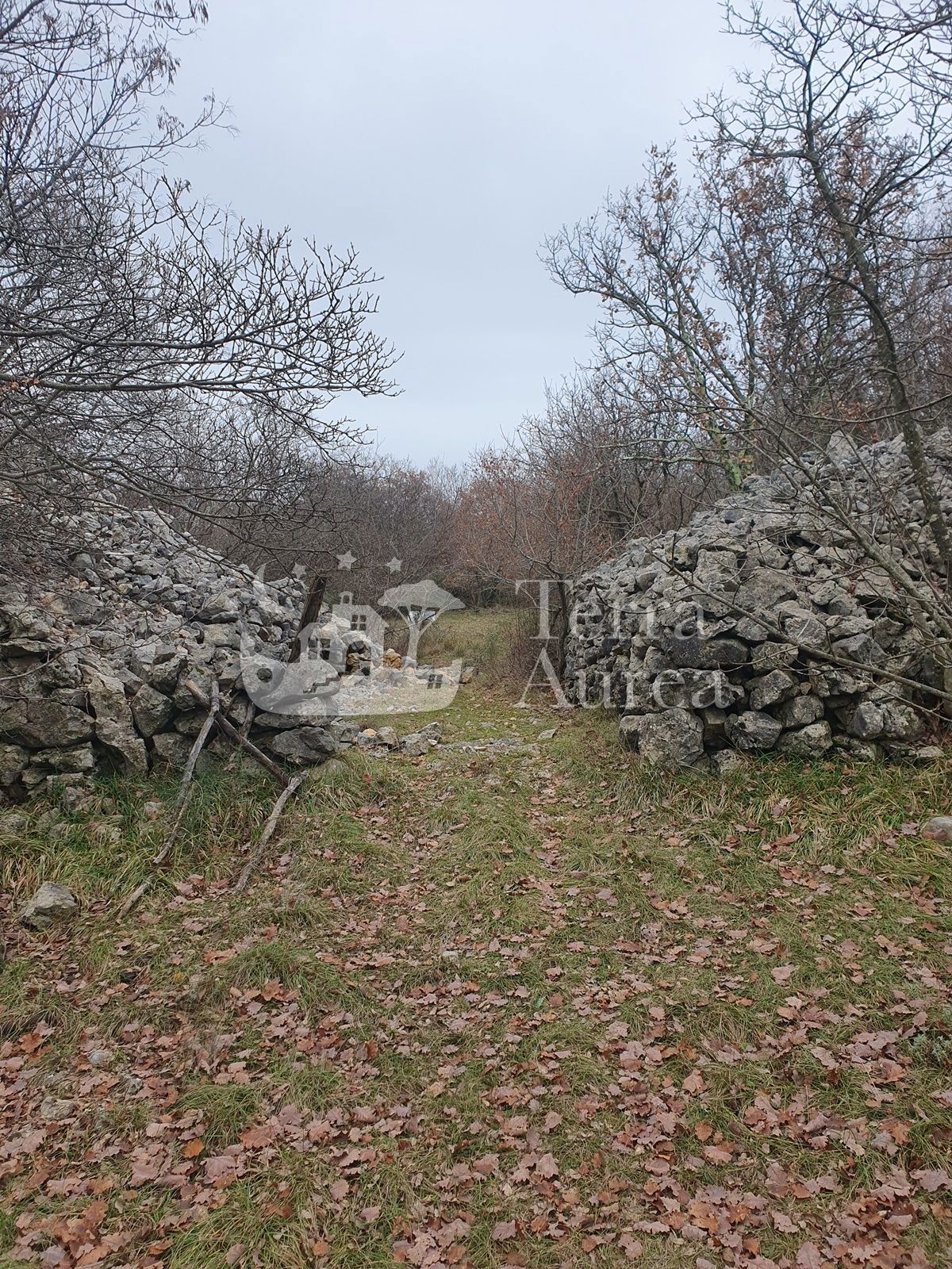 VRH