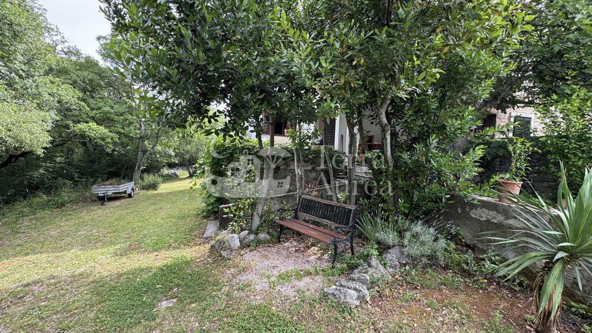 image 23