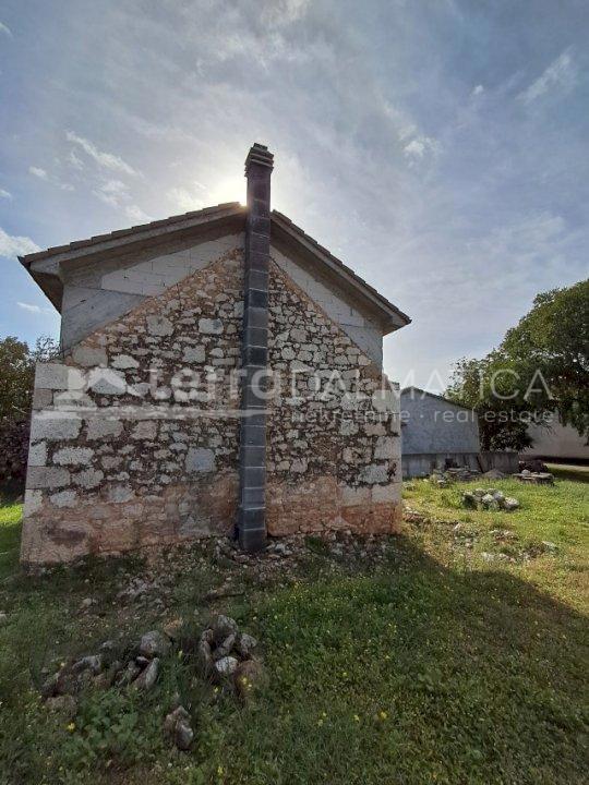DUBRAVA