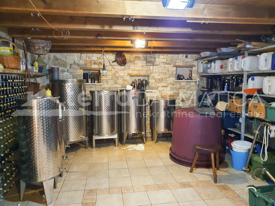 ROGOZNICA