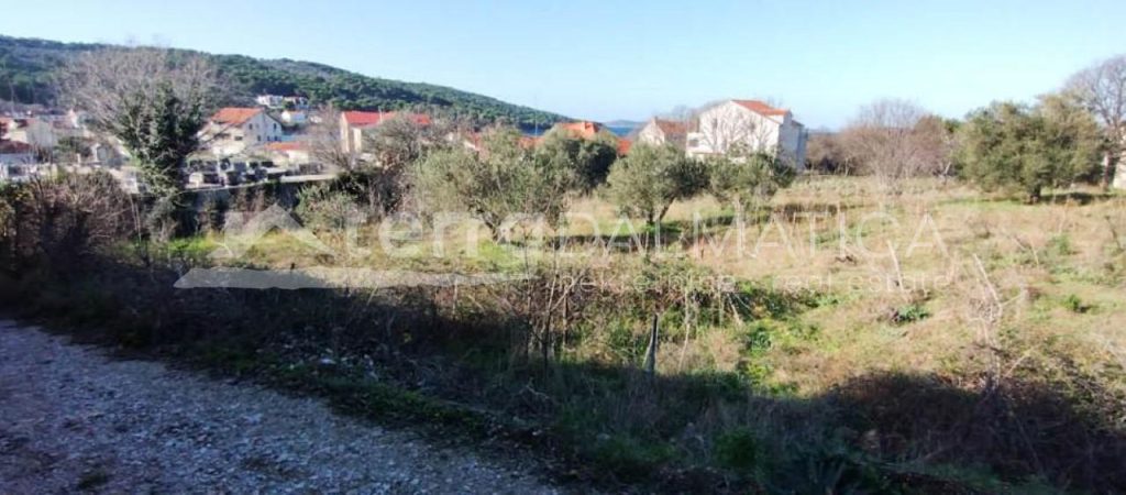 ZLARIN