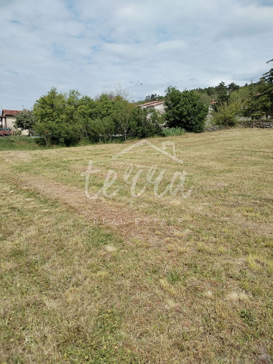 ŠUŠNJEVICA