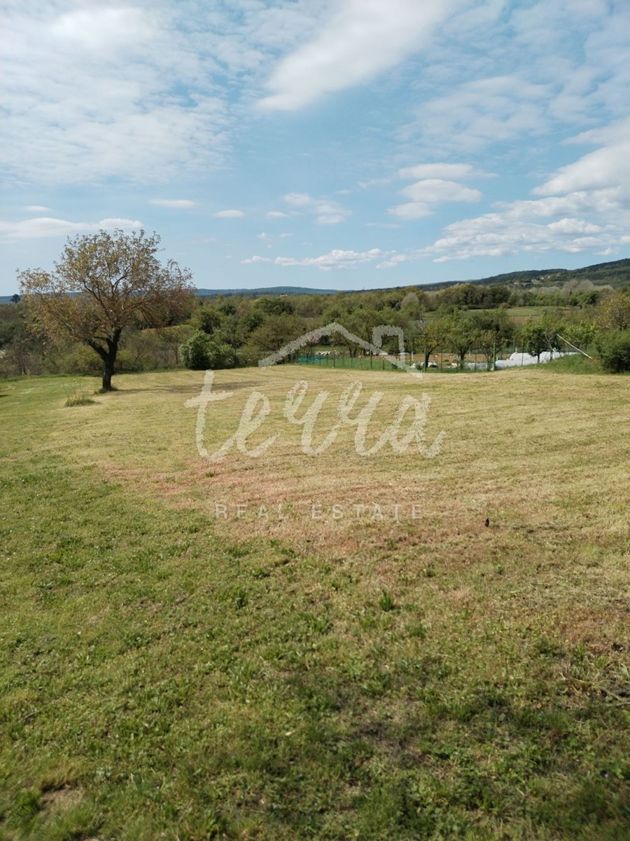 ŠUŠNJEVICA