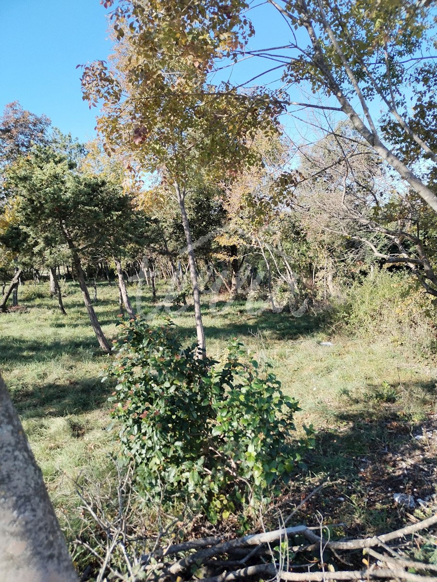BARBAN
