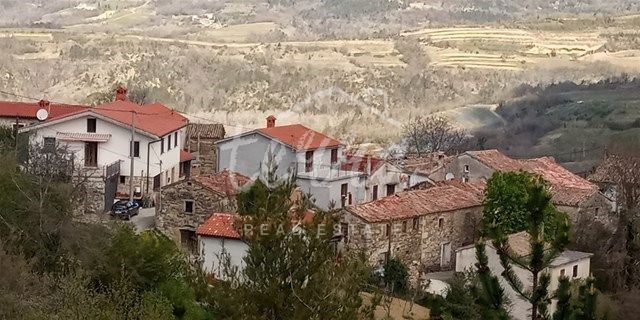 image 14
