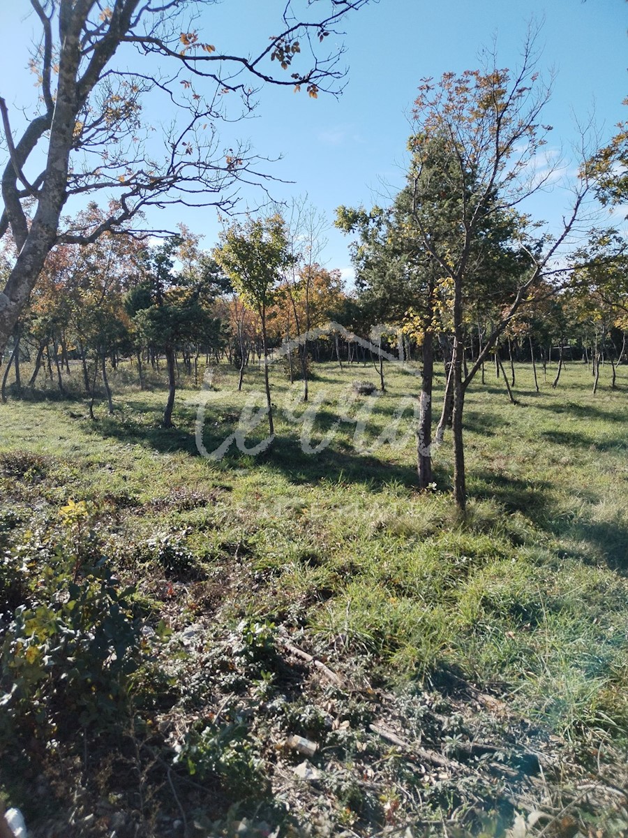 BARBAN