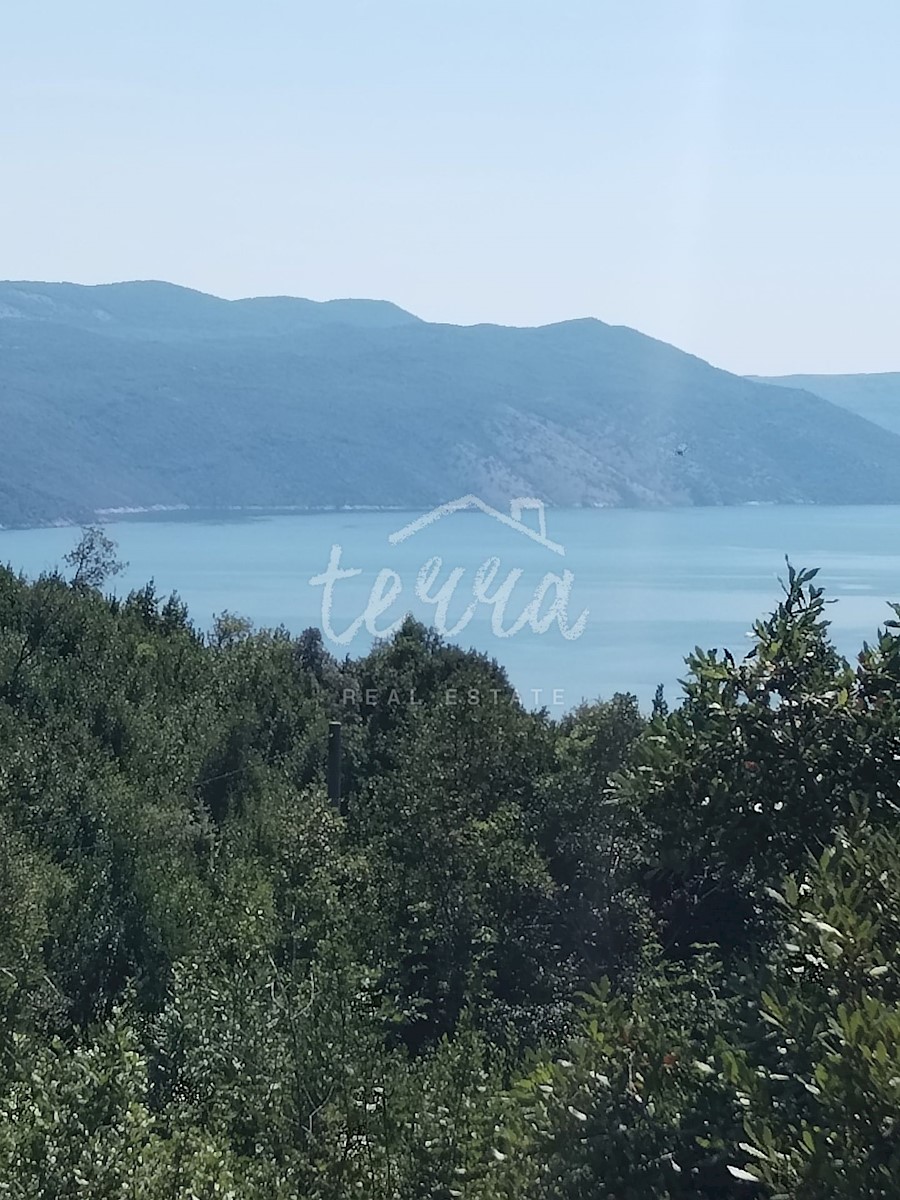 PLOMIN