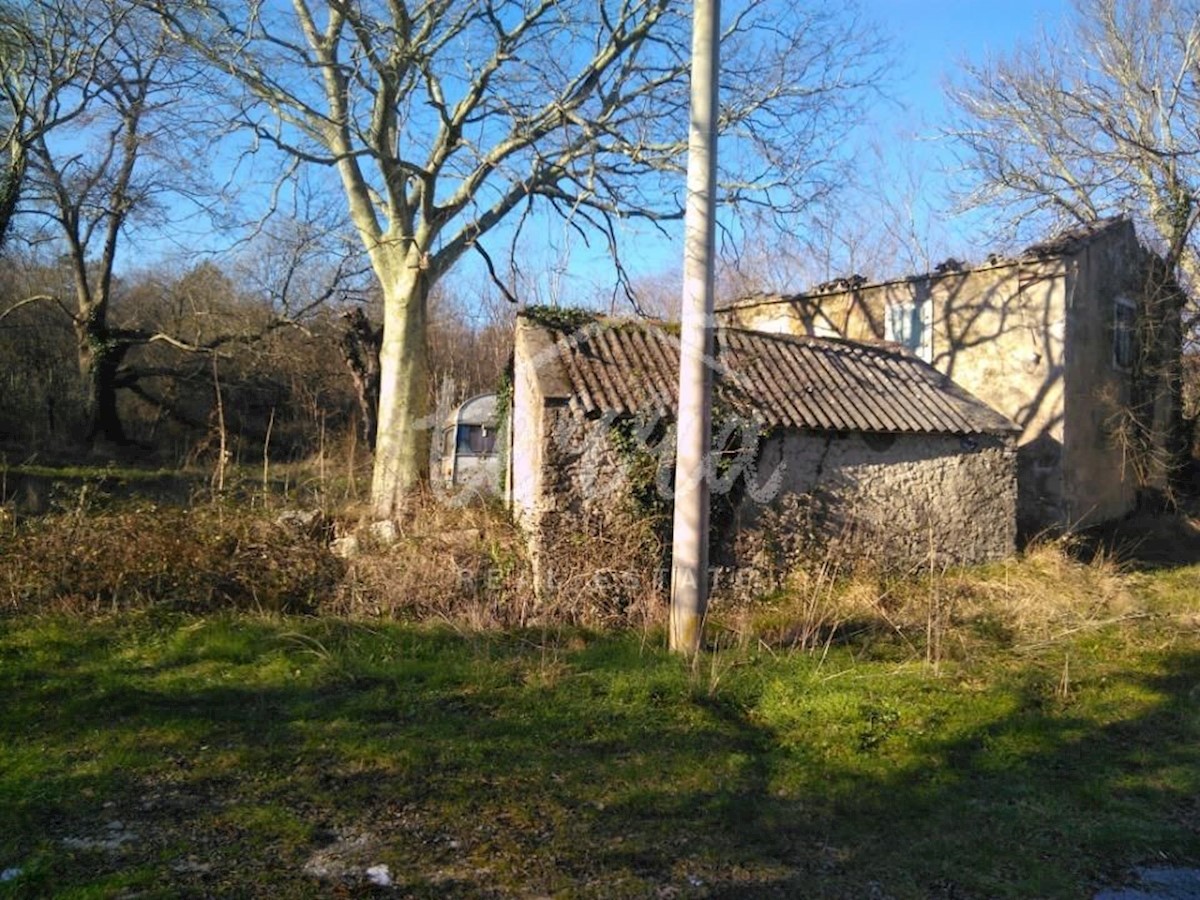ŠUŠNJEVICA