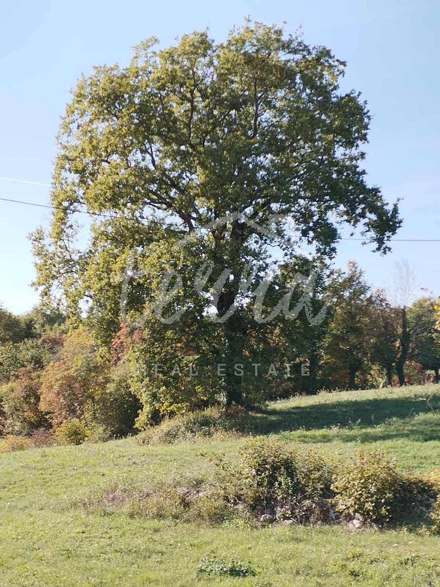 KRŠAN