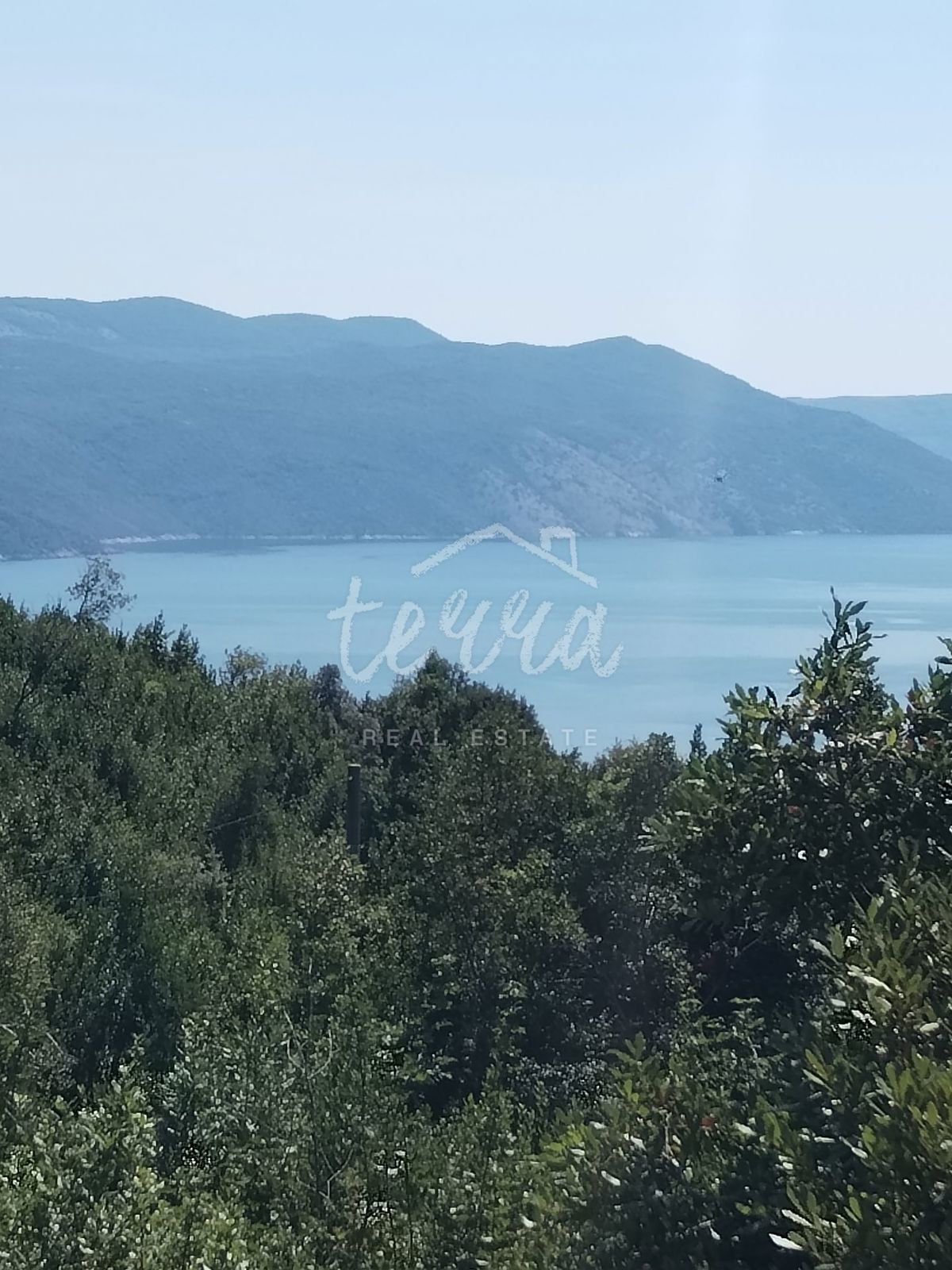 PLOMIN