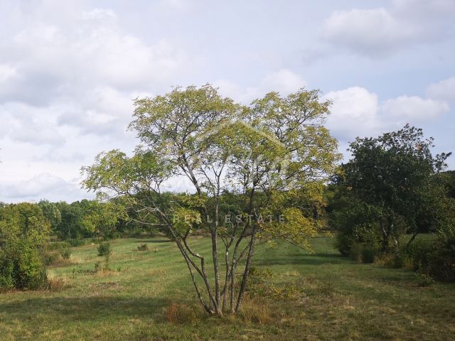 Slika nekretnine