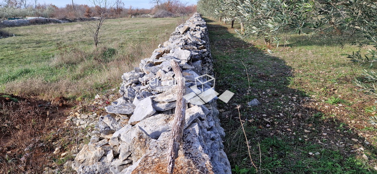 VODNJAN