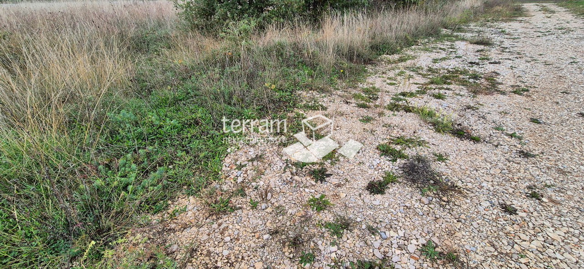 ŽMINJ