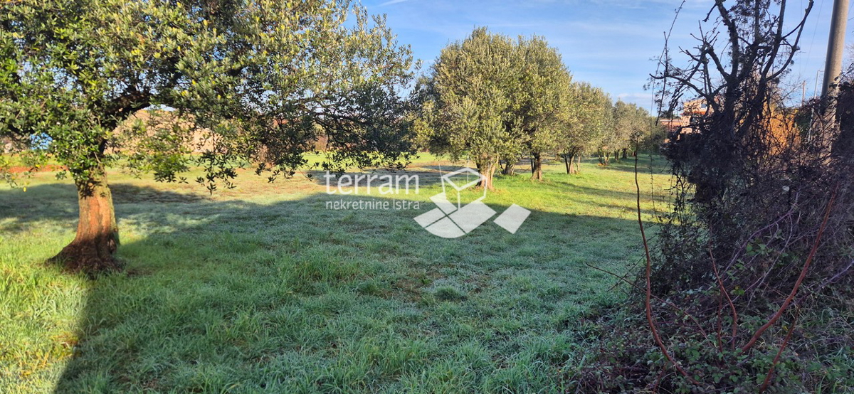 Terreno VODNJAN, 50.000 €