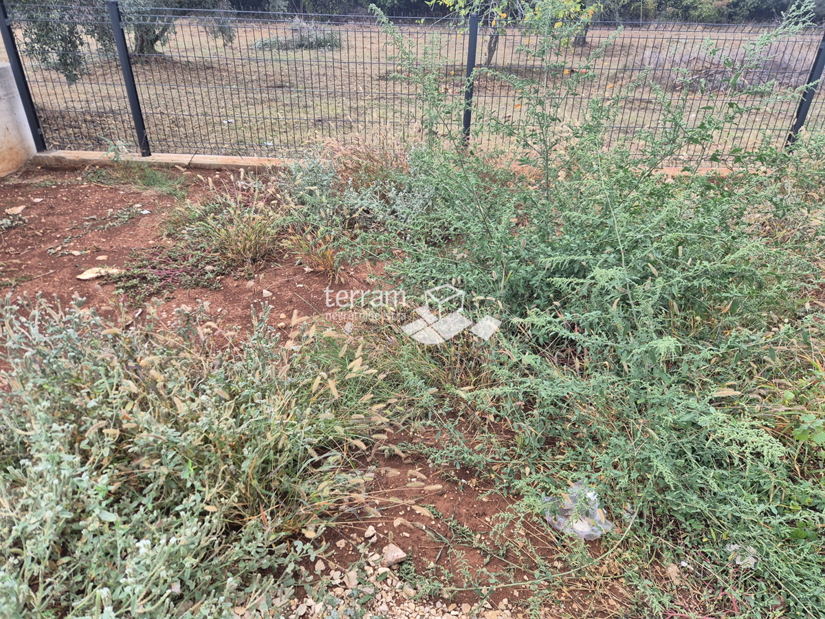 image 14