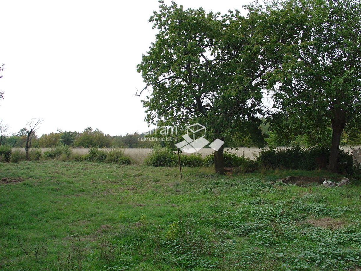BARBAN