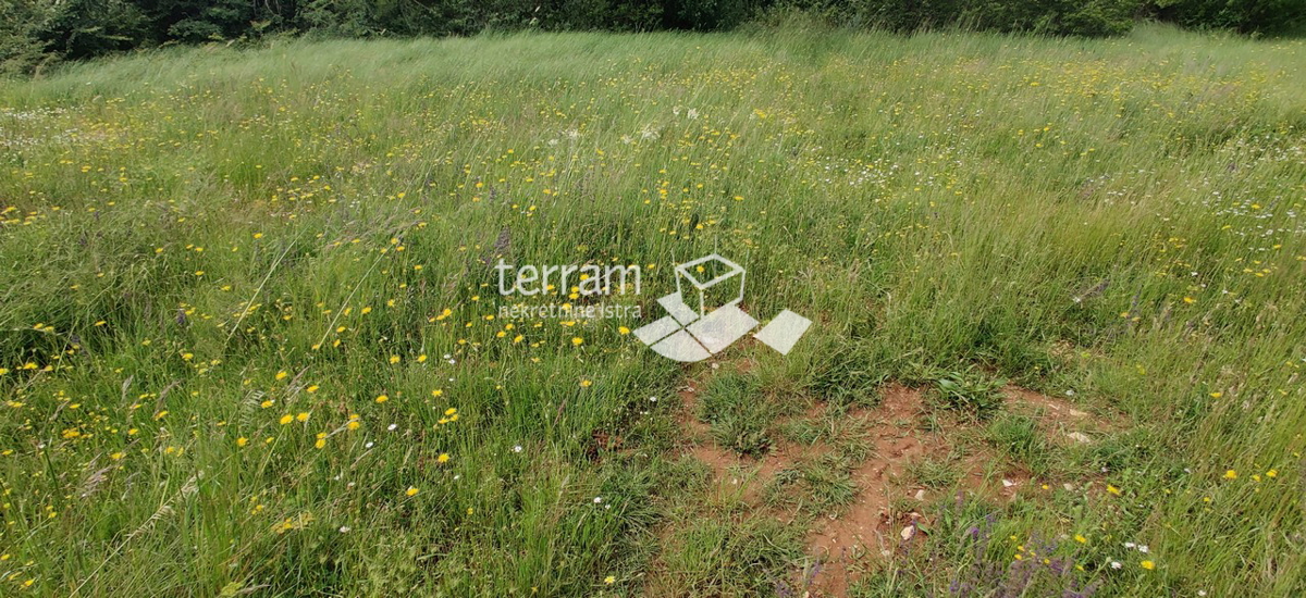 BARBAN