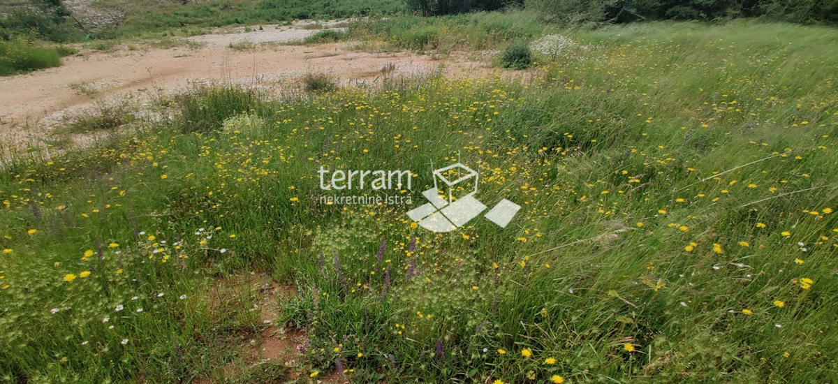BARBAN