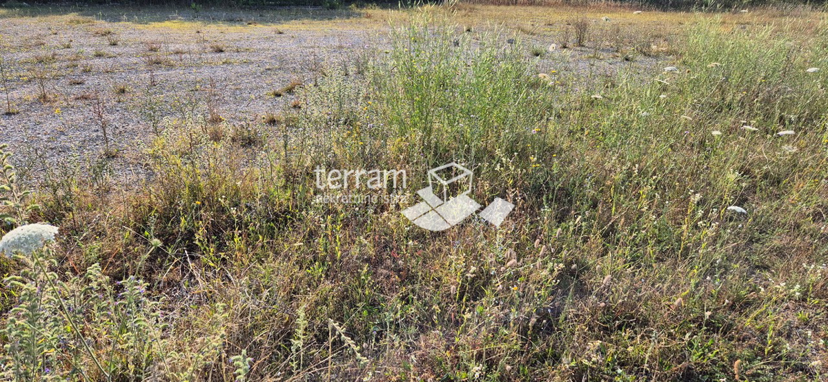 KANFANAR