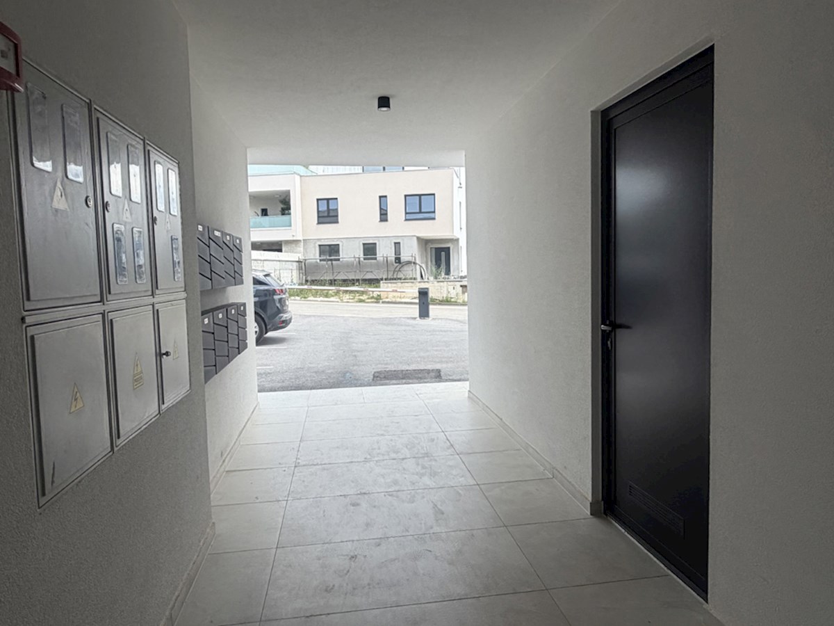 image 29