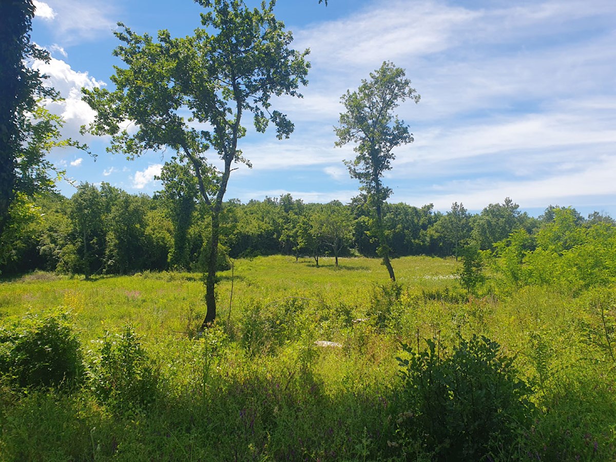 Участок SVETI LOVREČ, 80.000 €