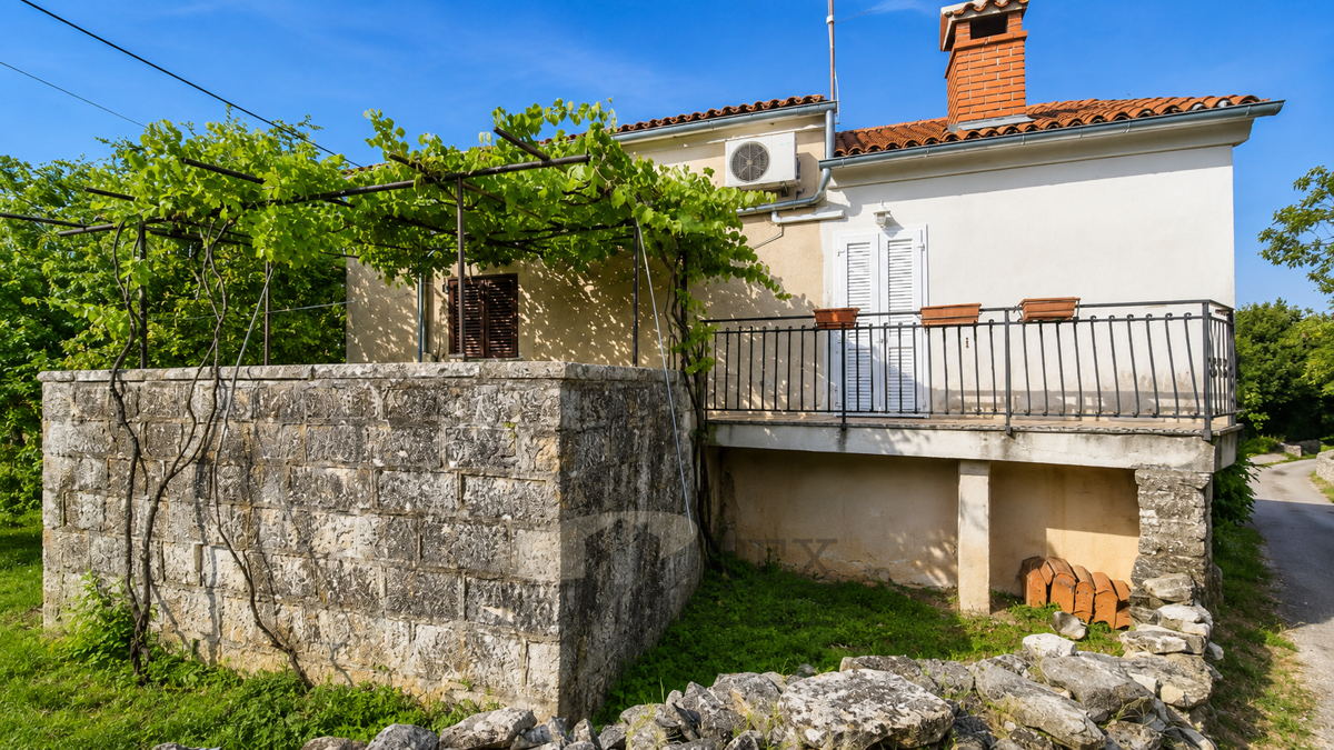 image 14