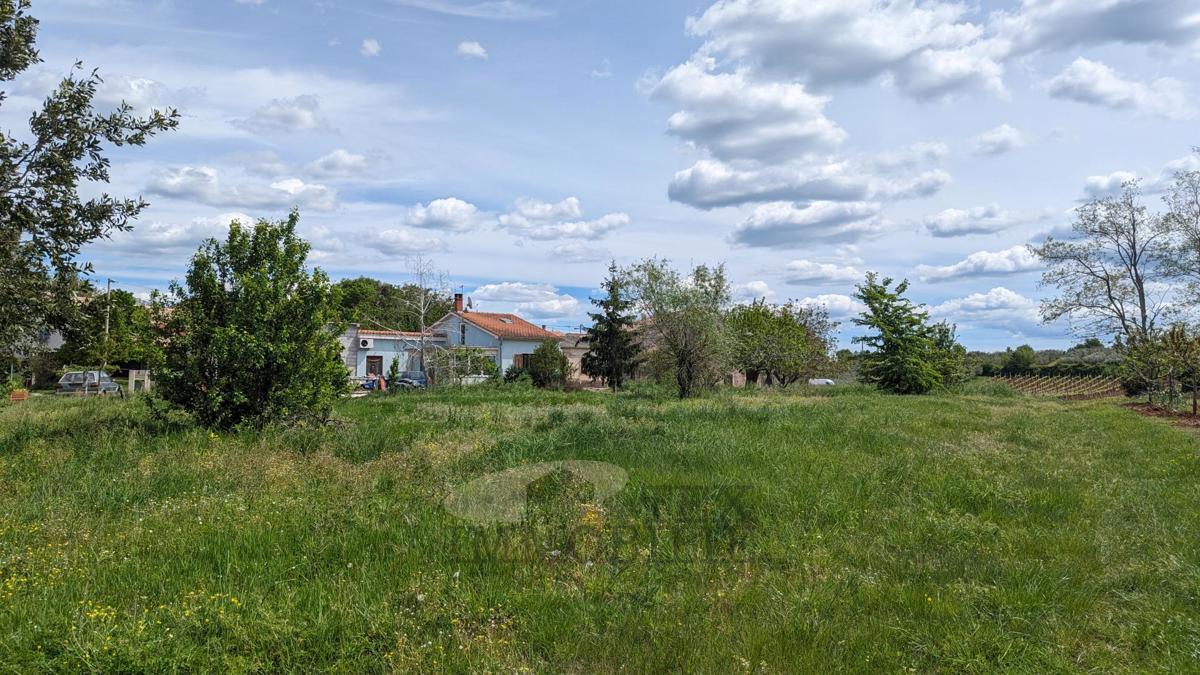 KAŠTELIR