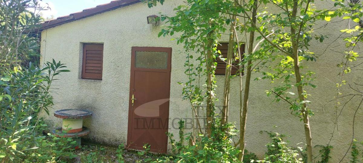 VIŽINADA