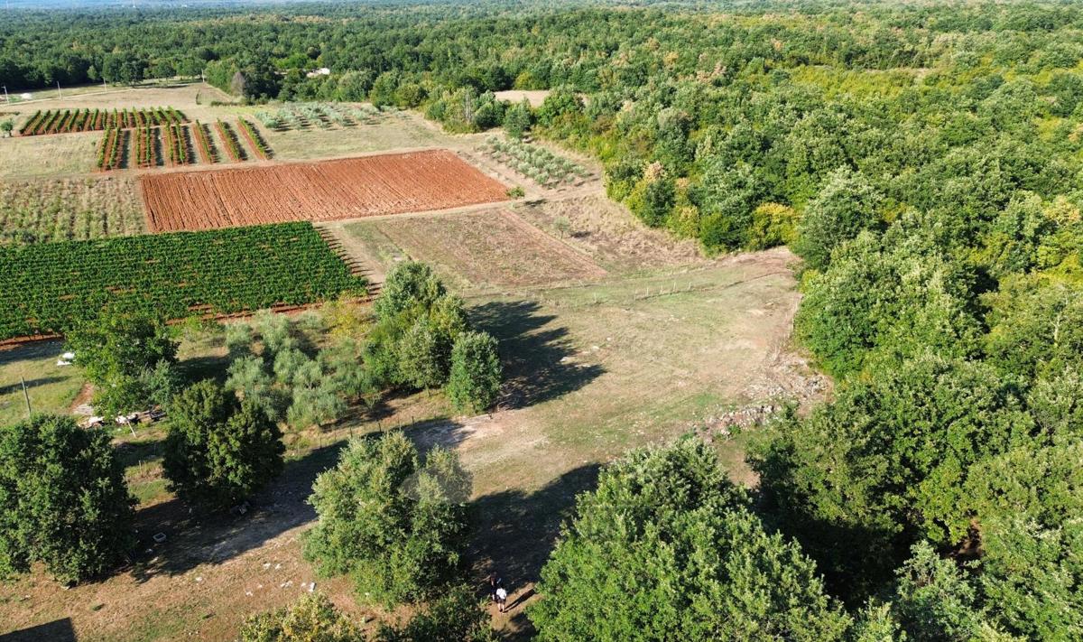 Участок SVETI LOVREČ, 84.660 €