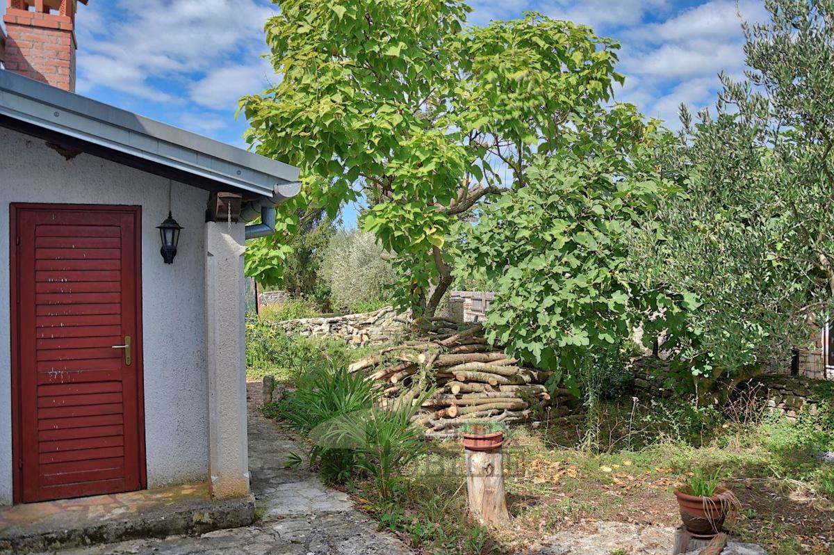SVETI LOVREČ PAZENATIČKI