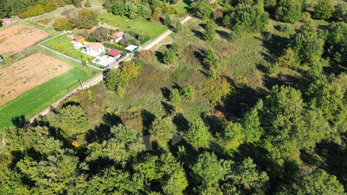ŽBANDAJ