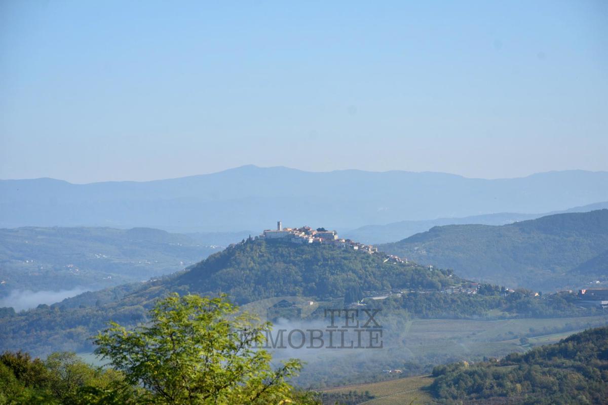 VIŽINADA