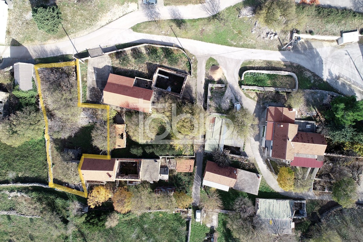 JASENICE