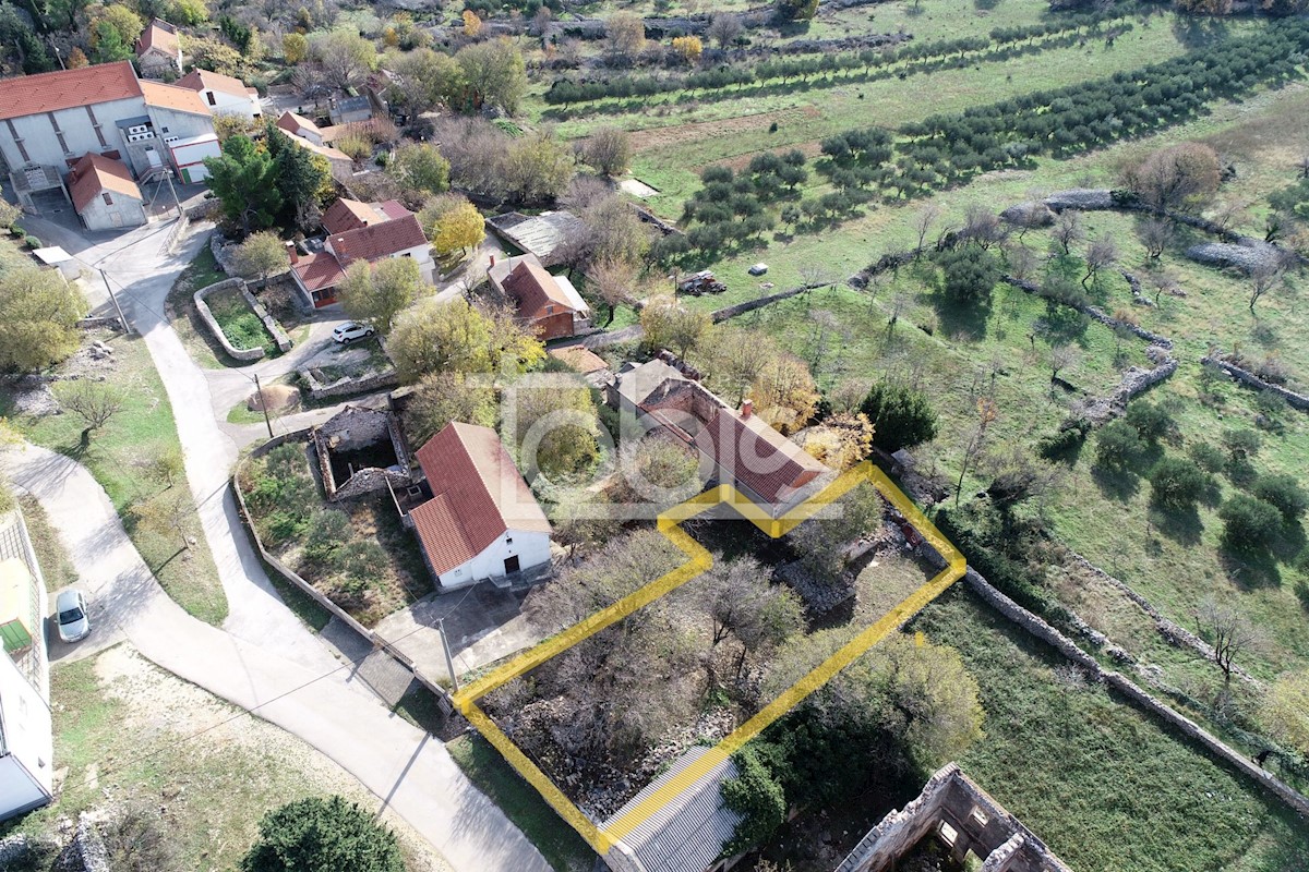 JASENICE