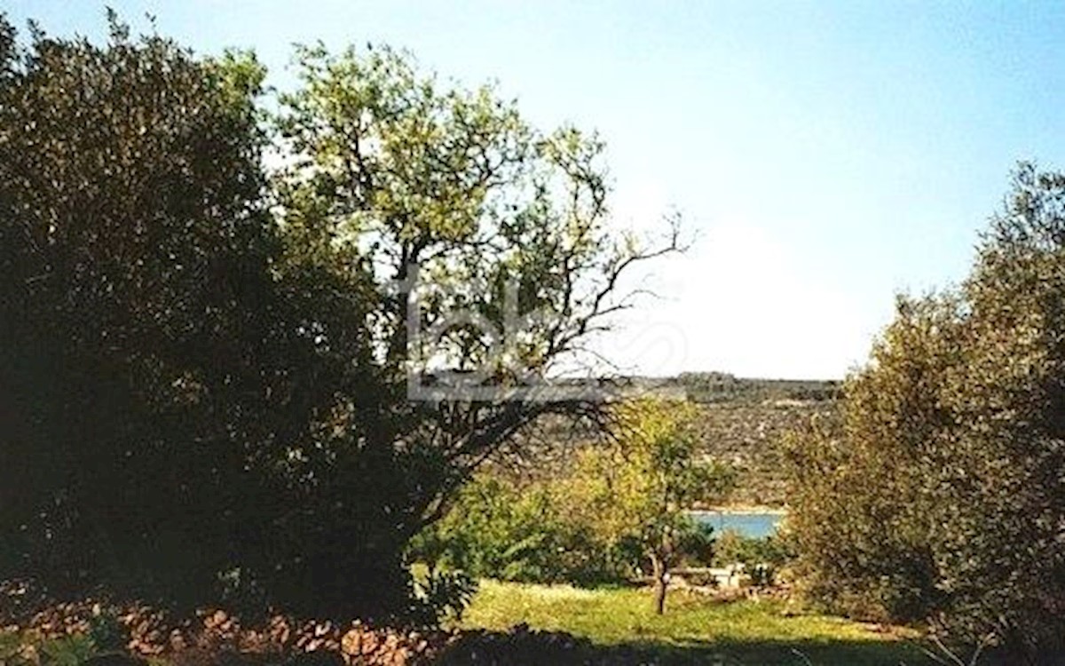BRBINJ