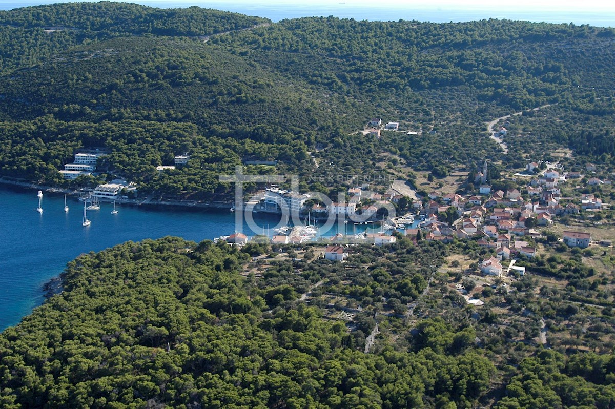 BOŽAVA