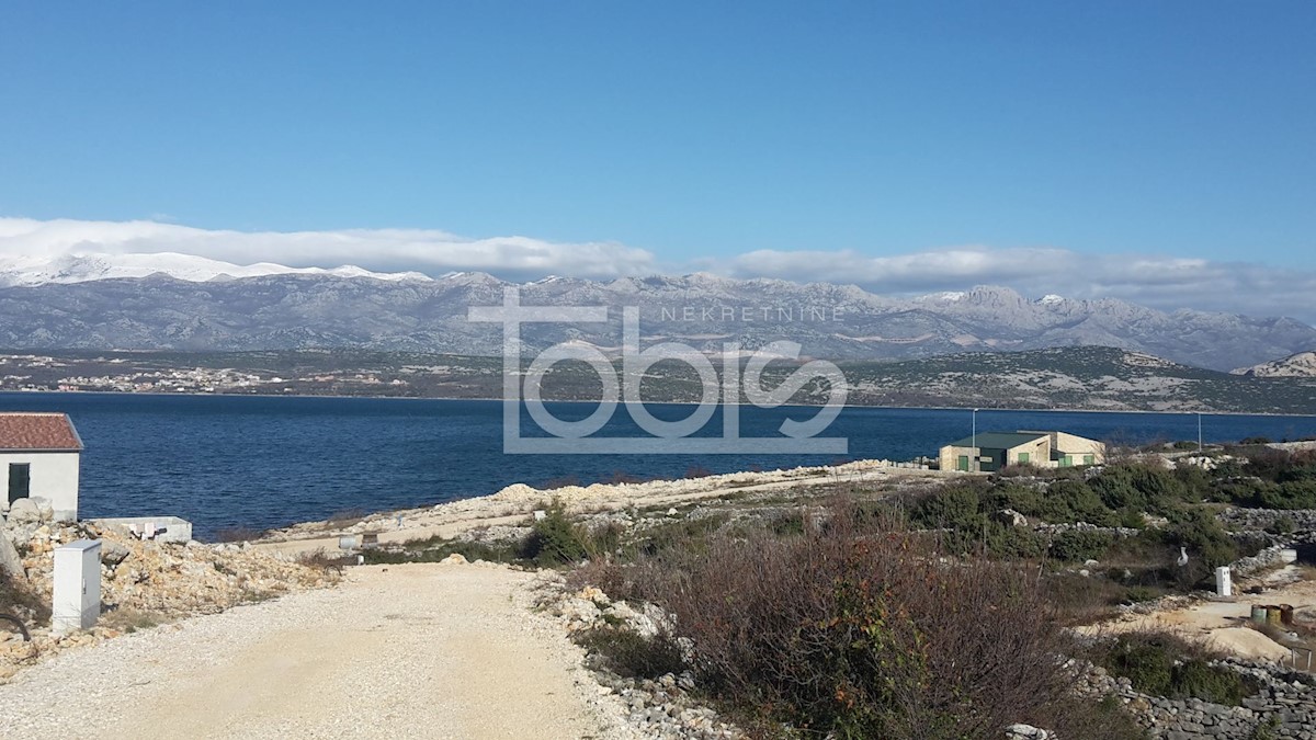 NOVIGRAD
