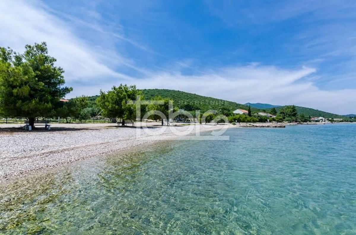 DRAČE